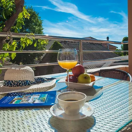 شقة Zdenka With Heated Pool باكوشتاني